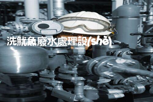 洗魷魚廢水處理設(shè)備的革命性突破！